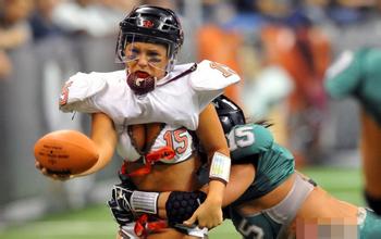 �ƾŻ����ؾ���Ƶ���Ĵ��Ű���ί������ϼӱ�ʡ��ί����(ͼ/����)...